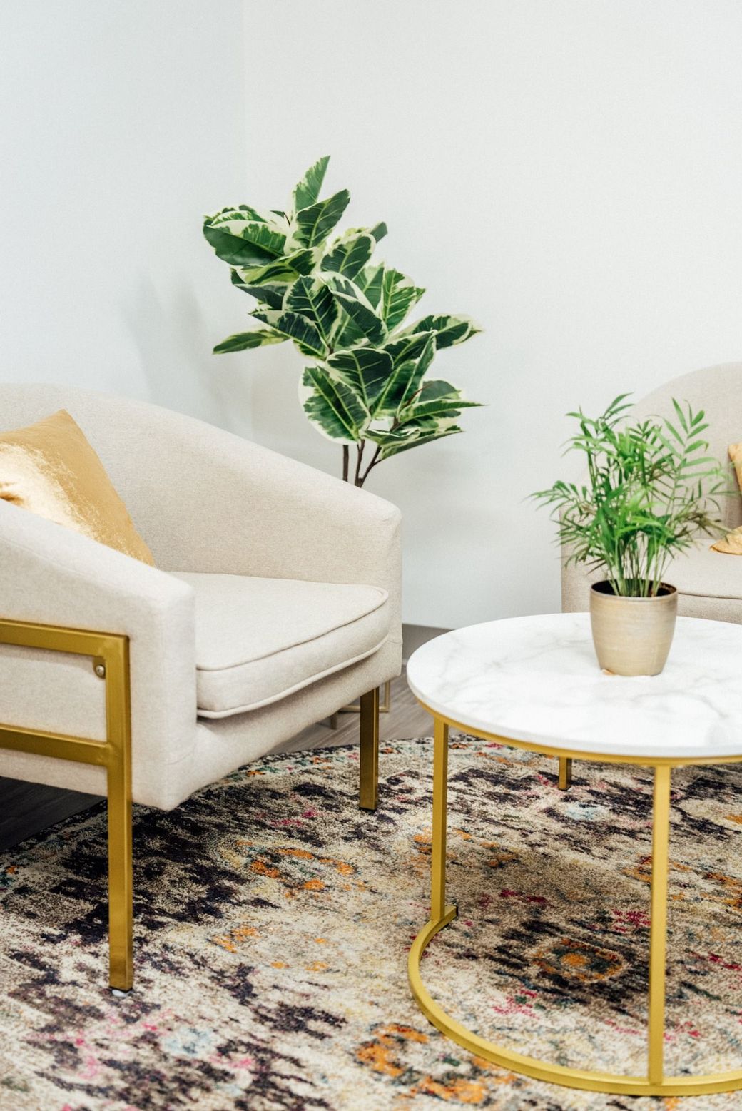 A living room with a chair , coffee table , and plant.