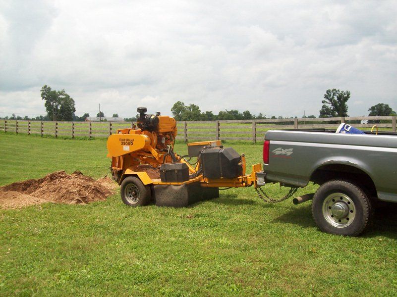 Robotic Stump Grinder – Frankfort, KY – Woodland Tree Care