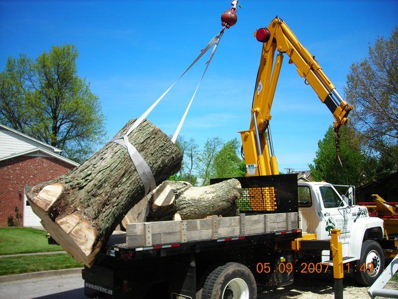 Pile of Cut Logs from A Tree on Truck – Frankfort, KY – Woodland Tree Care