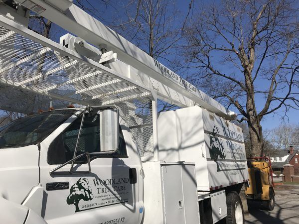 White Service Truck – Frankfort, KY – Woodland Tree Care