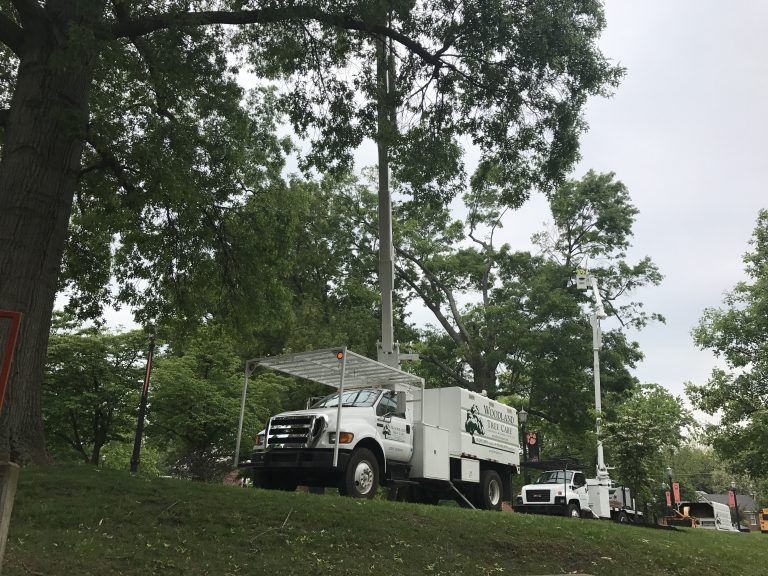 Tree Removal Truck  – Frankfort, KY – Woodland Tree Care