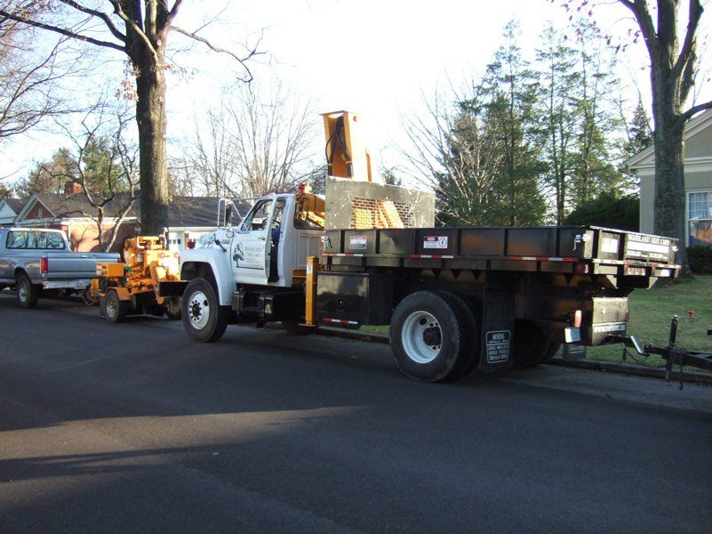 Timber Logs on Transportation Truck – Frankfort, KY – Woodland Tree Care
