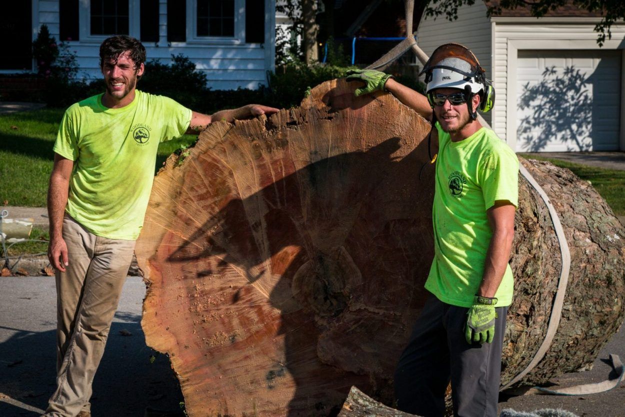Men Holding Large Tree Stump – Frankfort, KY – Woodland Tree Care