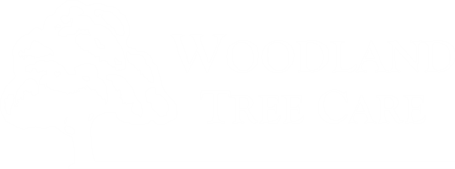 Woodland Tree Care