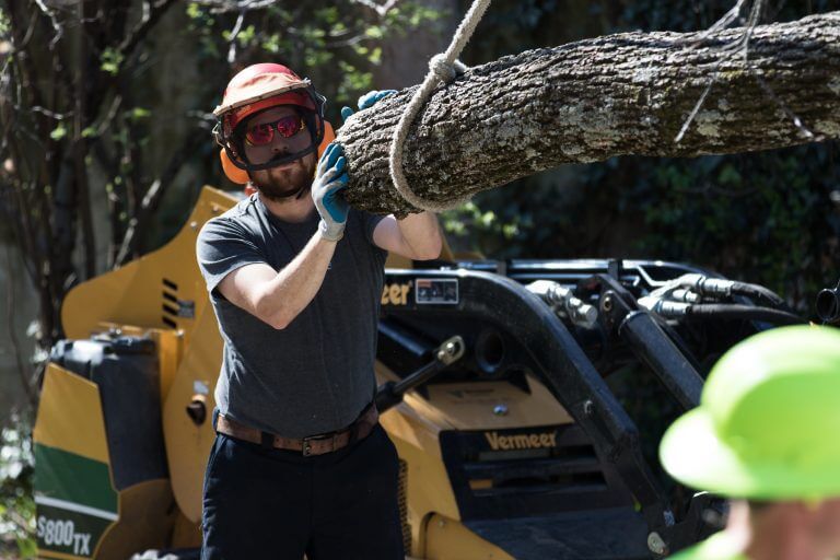 Lumberjack Carrying Wooden Logs – Frankfort, KY – Woodland Tree Care