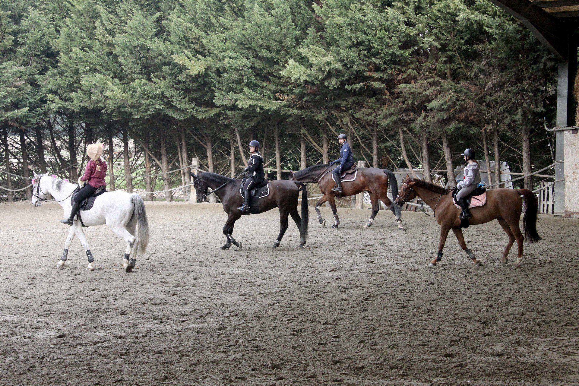 Un gruppo di persone sta cavalcando cavalli in un campo sterrato.
