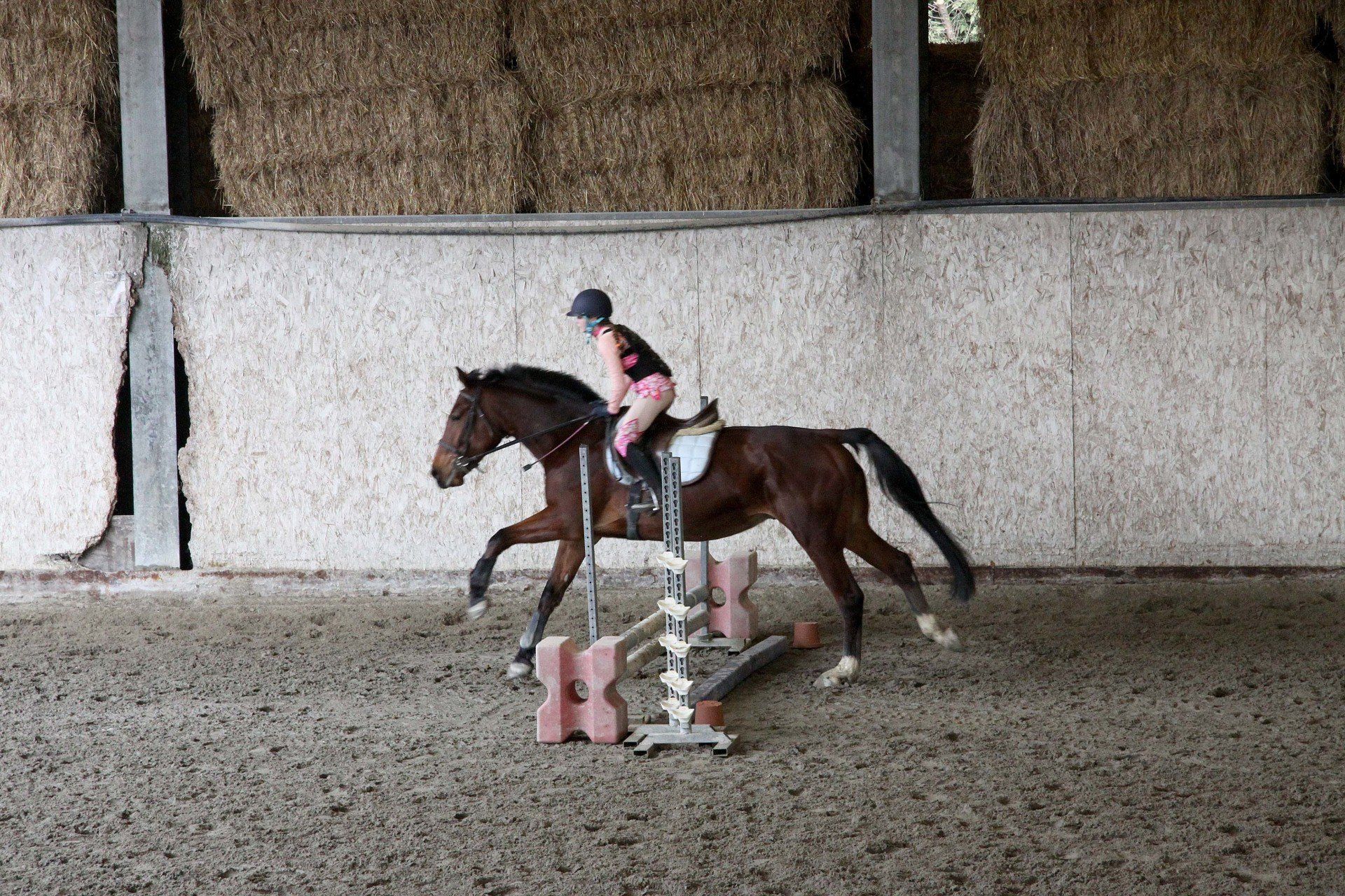 Una persona sta cavalcando un cavallo superando un ostacolo.
