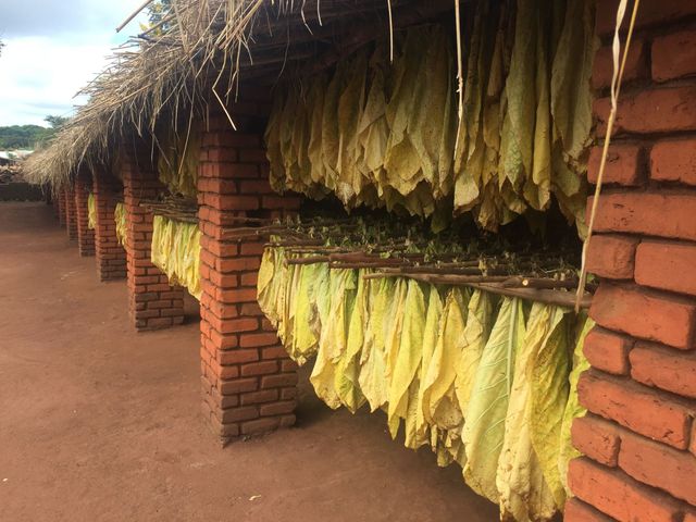 Tobacco Blending for all Blend Styles