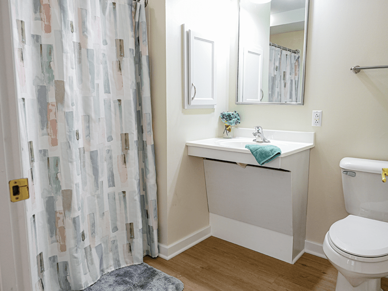 Nursing home Bathroom