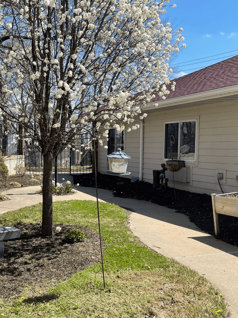 New 2026 Honda Grom, Jefferson City MO | Specs, Price, Photos | Cherry Red, image size:800x1070