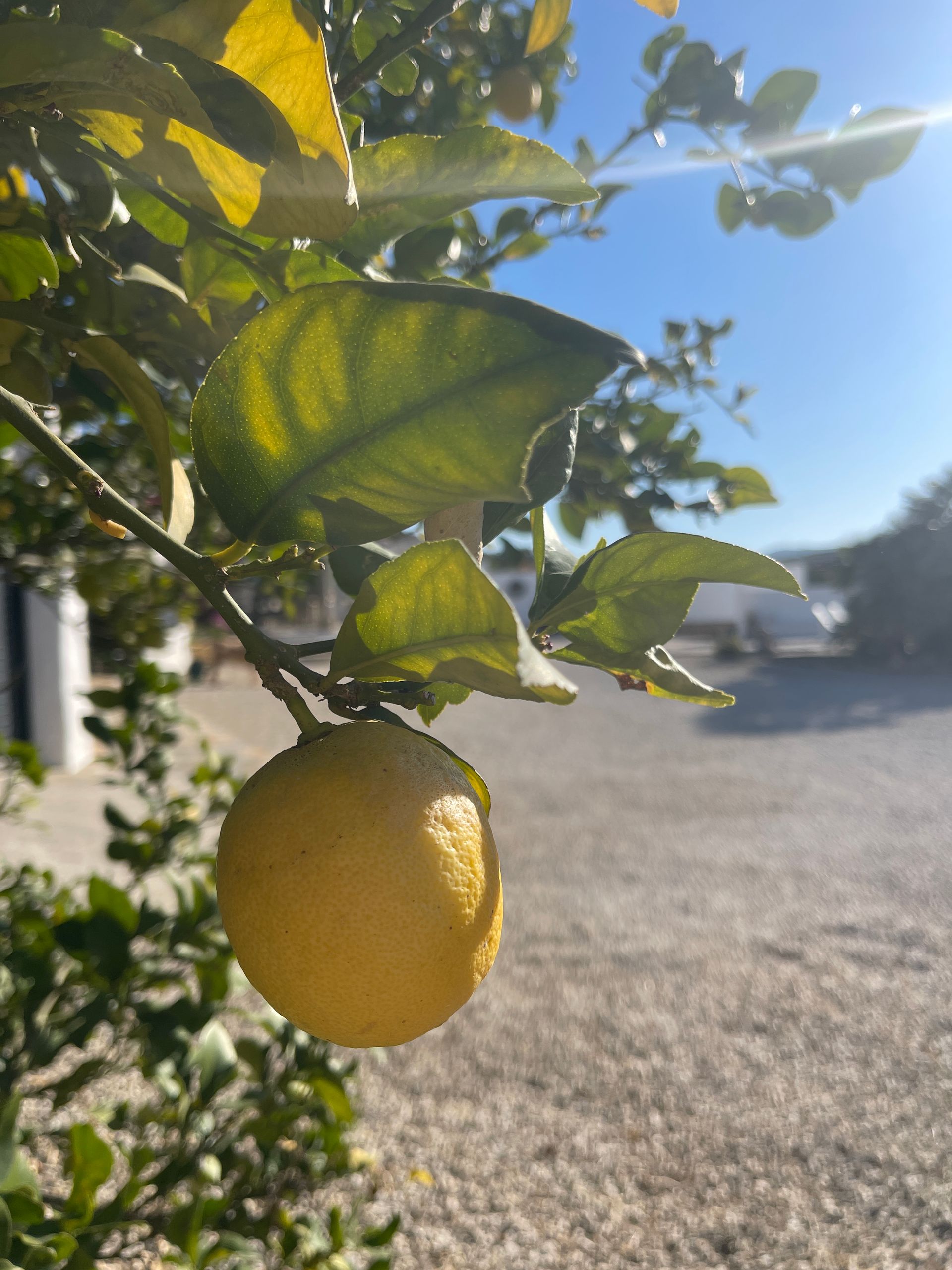 Ondernemen onder de Spaanse zon