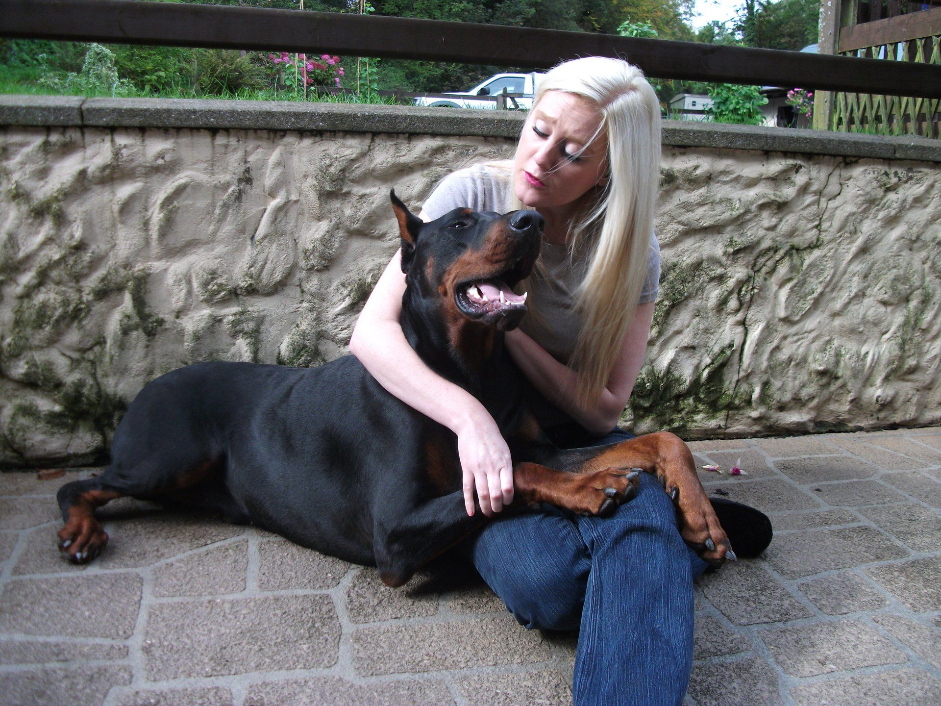 a lady sat with a dog laid on her lap