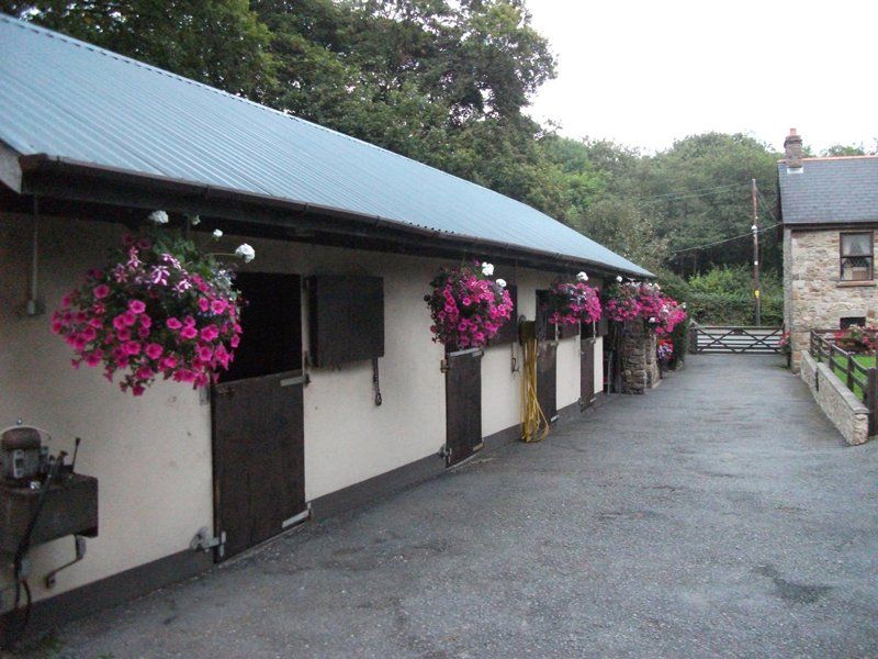 Sleepy Hollow Grounds Picture