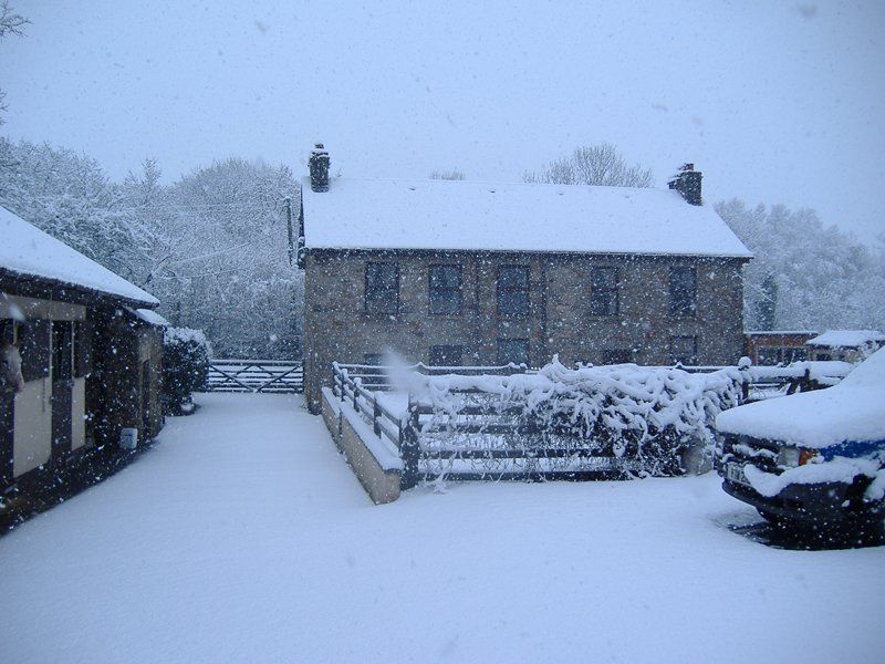 Sleepy hollow grounds in the snow