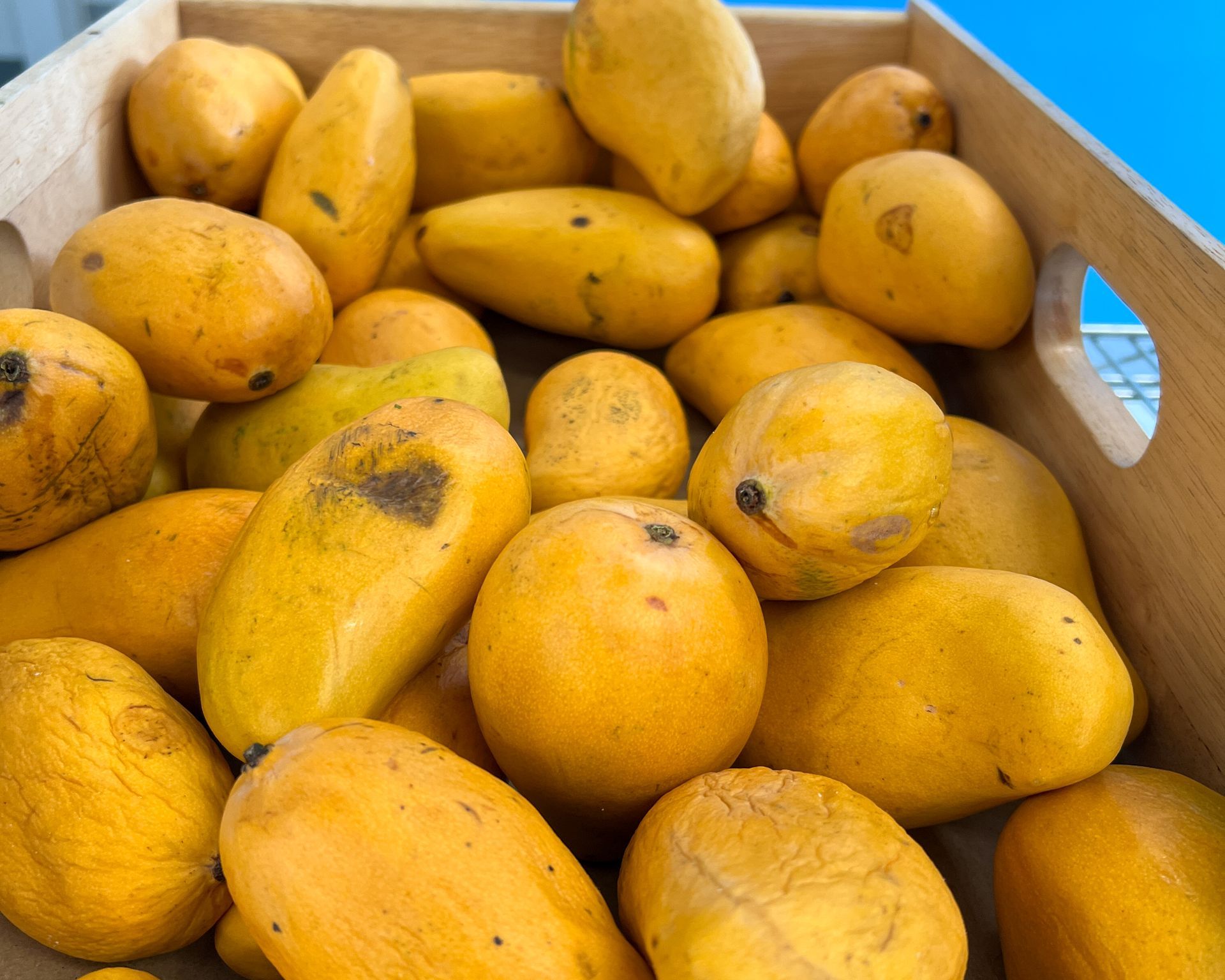 A wooden box filled with lots of yellow mangoes