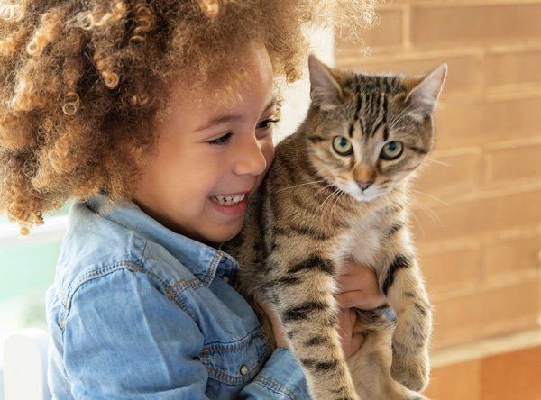 A little girl is holding a cat in her arms.