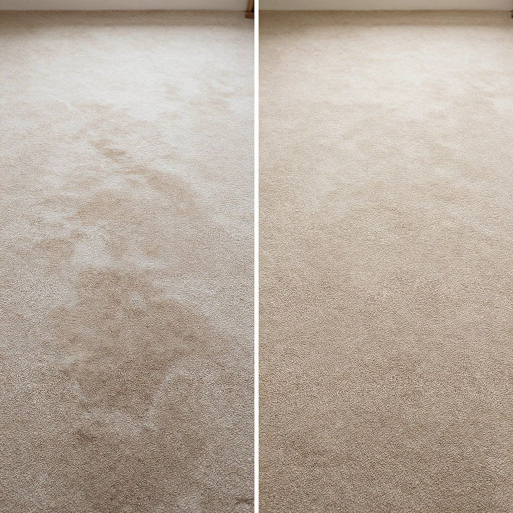 Before and after shots of a tan carpet. The left side is stained; the right side is clean.