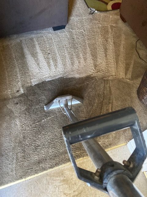 Steam cleaner nozzle on a beige carpet, emitting steam.