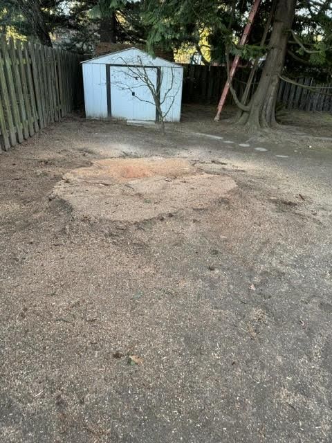 a man is using a machine to remove a tree stump