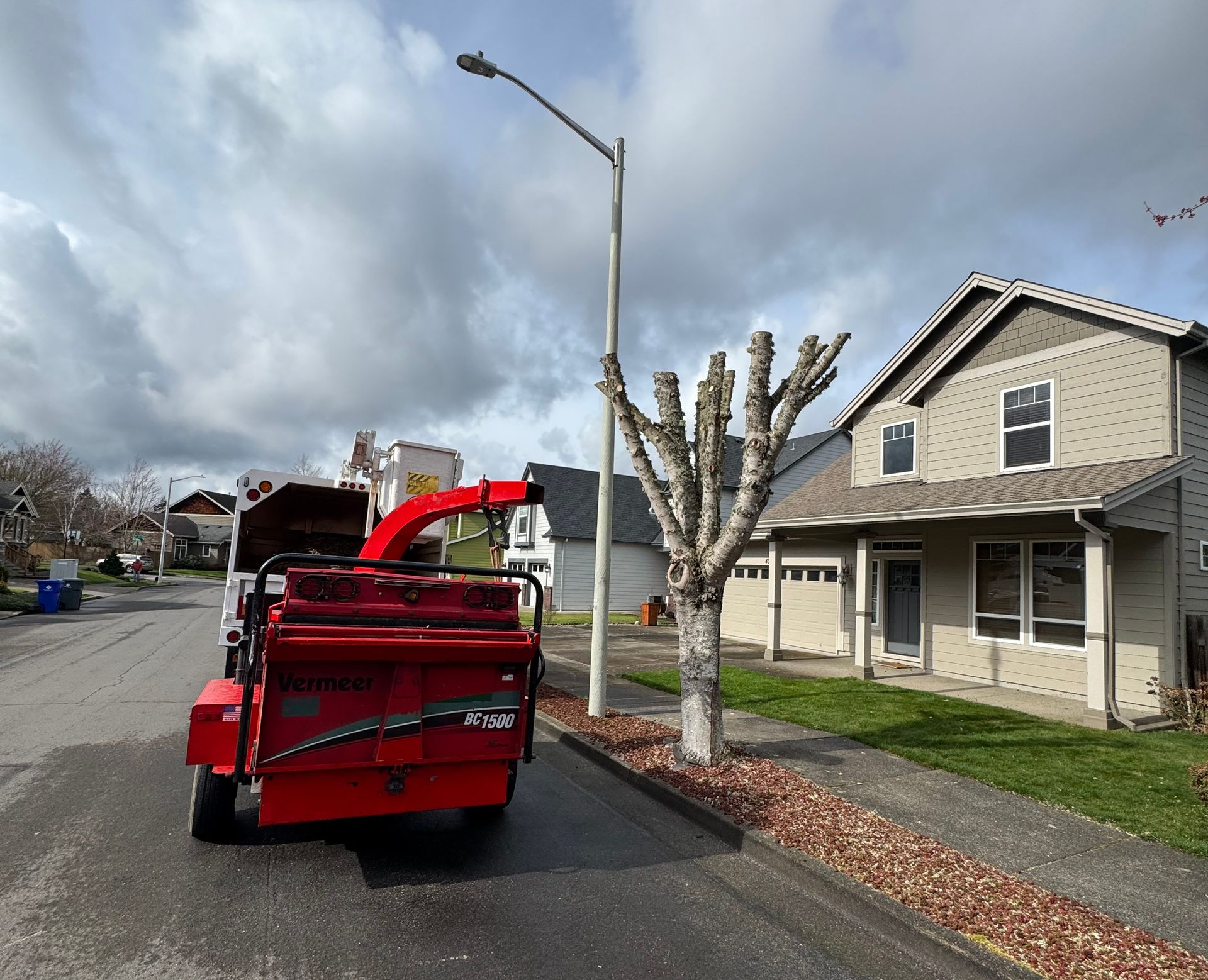 a man in a crane cutting a tree next to a truck full of leaves