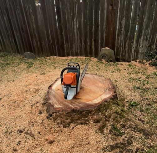 a tree that has been cut in half is laying on the ground