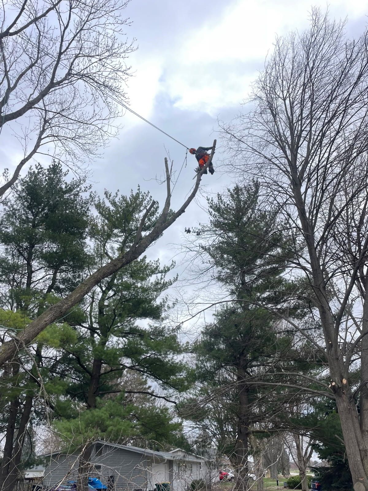 Arborist in red gear cutting a tall tree limb above a house on a cloudy day