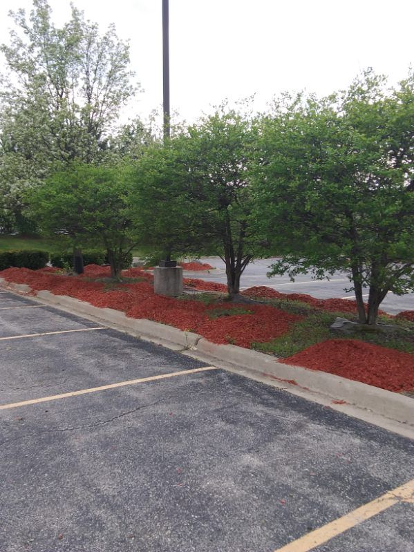 Parking lot with trimmed green hedges, red mulch, and an asphalt curb under overcast skies