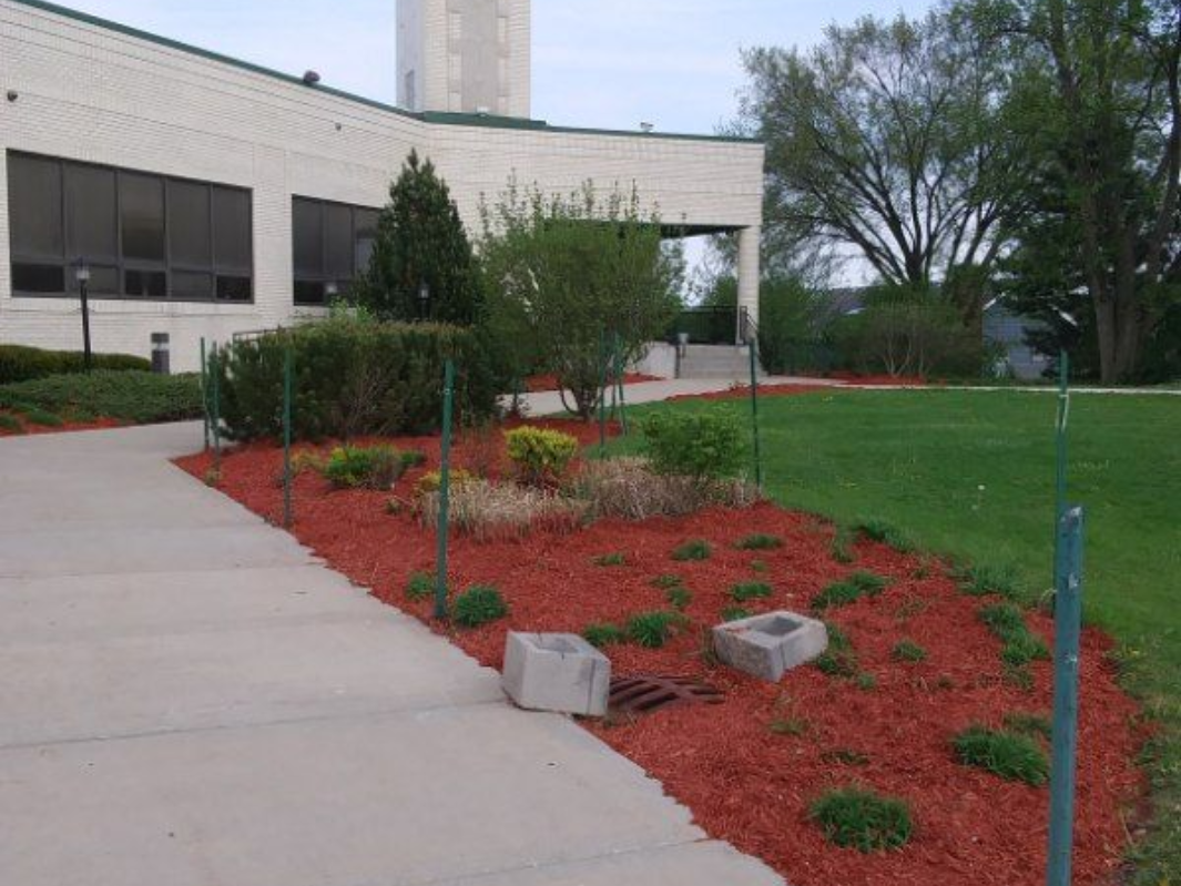 Office building with a concrete walkway beside a red mulch garden and trees