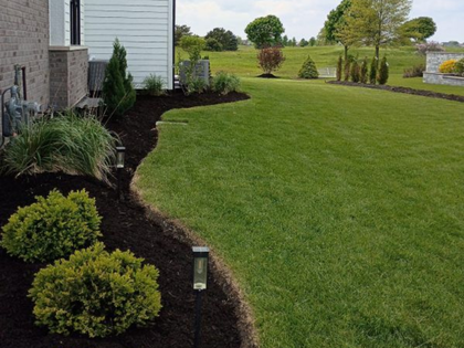 Landscaped garden bed with shrubs along a house beside a wide green lawn