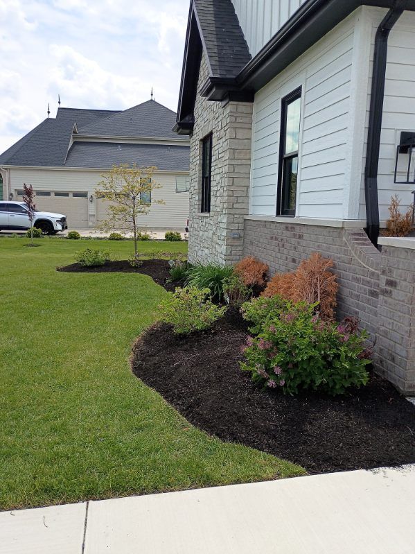 Suburban house front yard with trimmed lawn, mulch bed, shrubs, and white siding