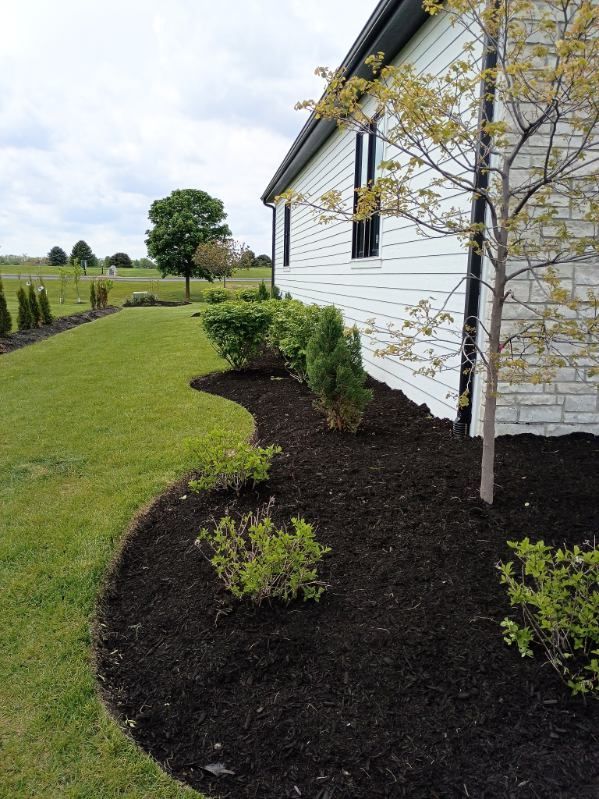 Landscaped yard beside a white house with fresh mulch, shrubs, a tree, and open green field beyond.