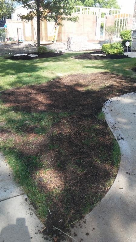 Shaded backyard lawn with patchy grass, concrete edges, and a fence in the background