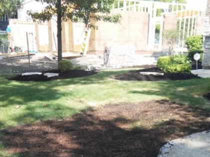 Sunny backyard with green lawn, shaded trees, and a garden fence in the background