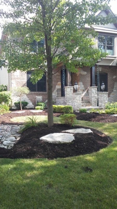 Front yard with a young tree, mulch ring, lawn, and stone landscaping in front of a house