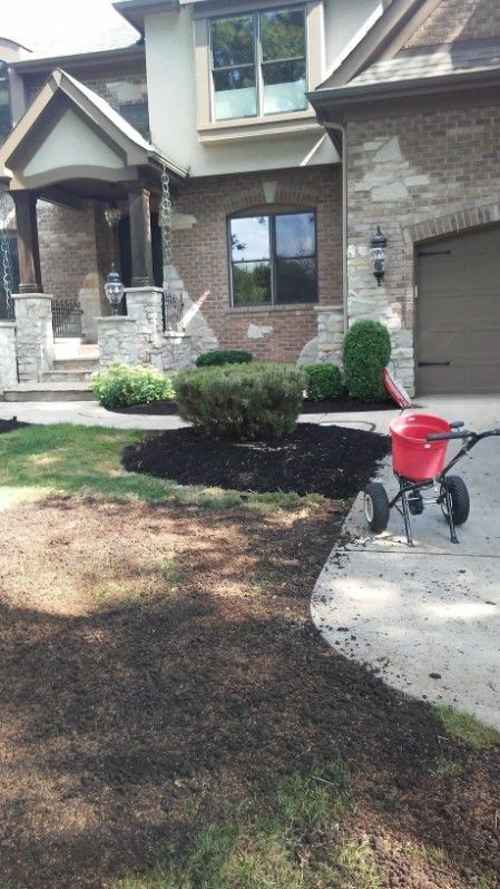 Front yard of a suburban house with a red stroller on a concrete path and landscaped shrubs.