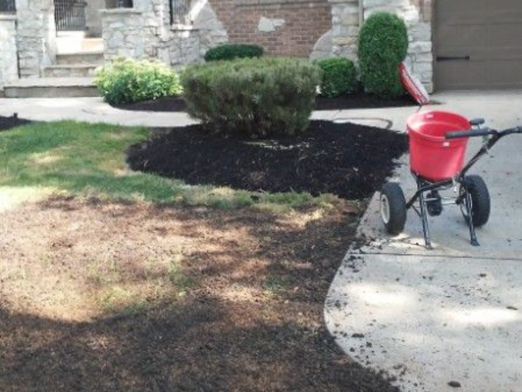 Yard with patchy grass and mulch beds, plus a red wheelbarrow on a concrete driveway.