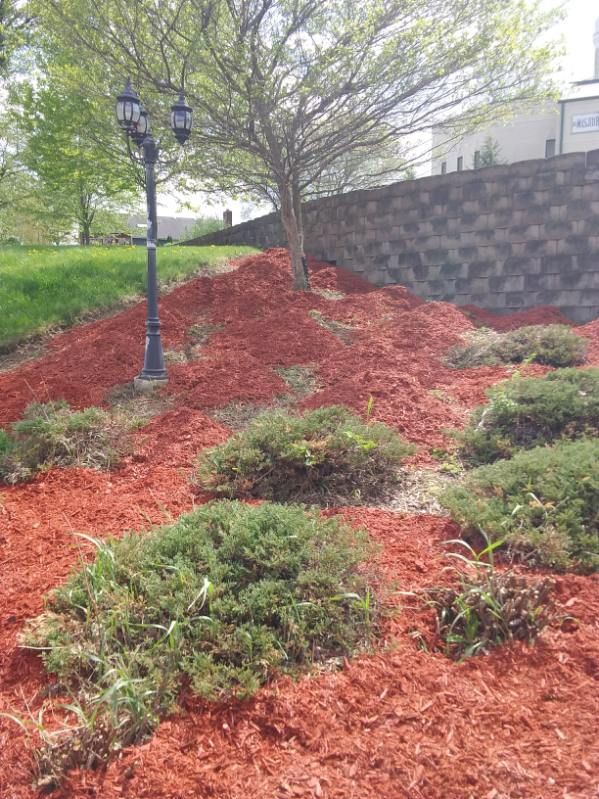 Landscaped hillside with red mulch, shrubs, a tree, and a lamp post beside a stone retaining wall