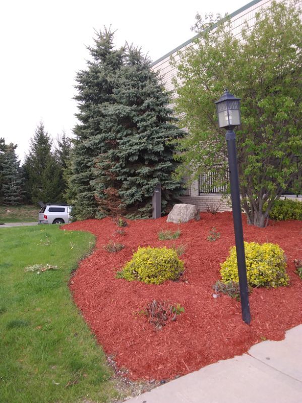 Landscaped building entrance with red mulch, evergreen trees, shrubs, and a black lamp post beside a sidewalk.