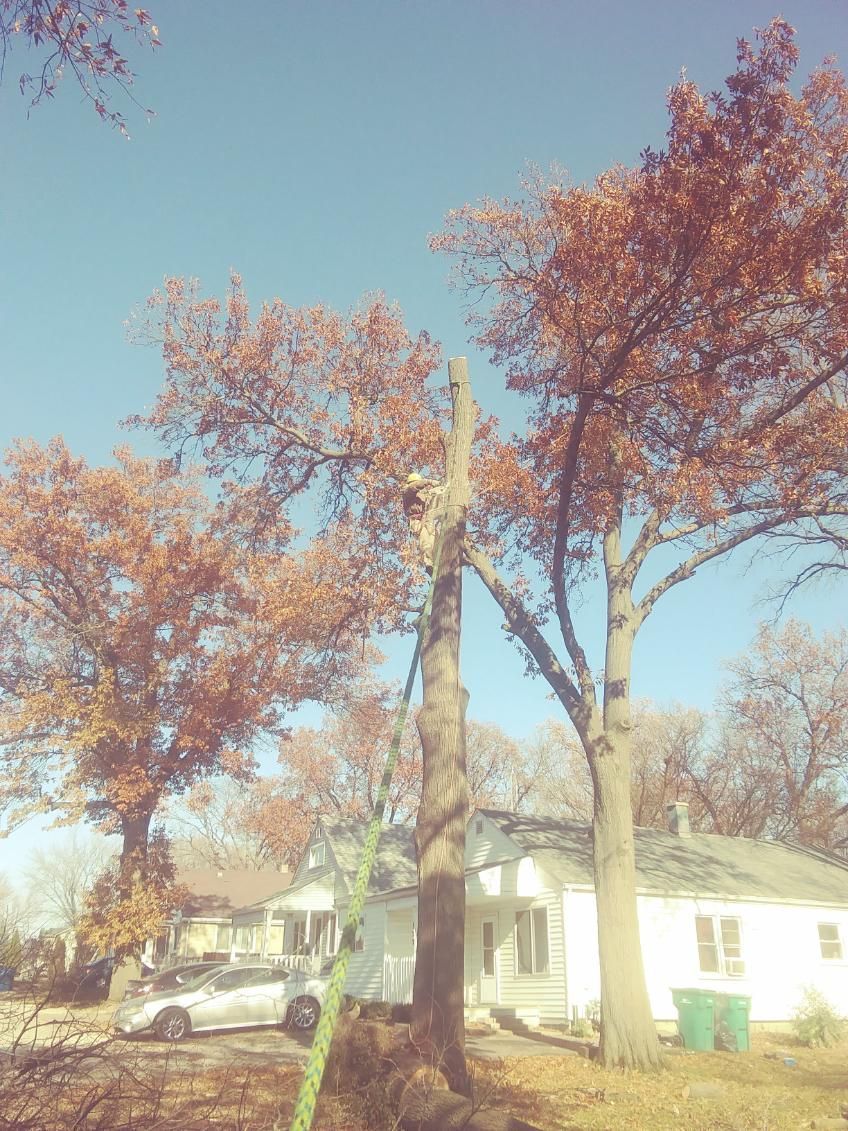 Autumn trees in front of a white house under a clear blue sky