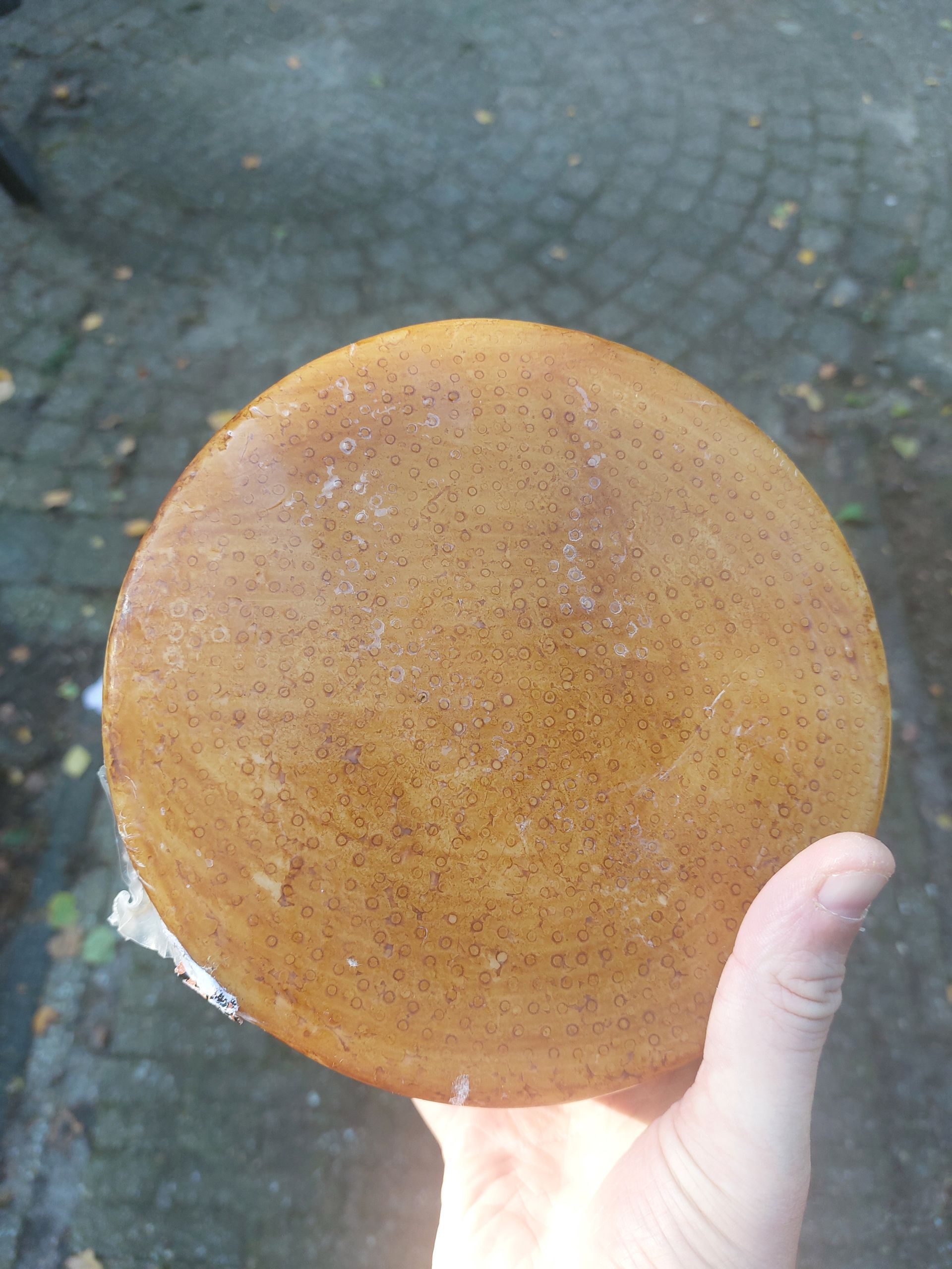 Sardinian Pecorino 250 gr (brown crust)