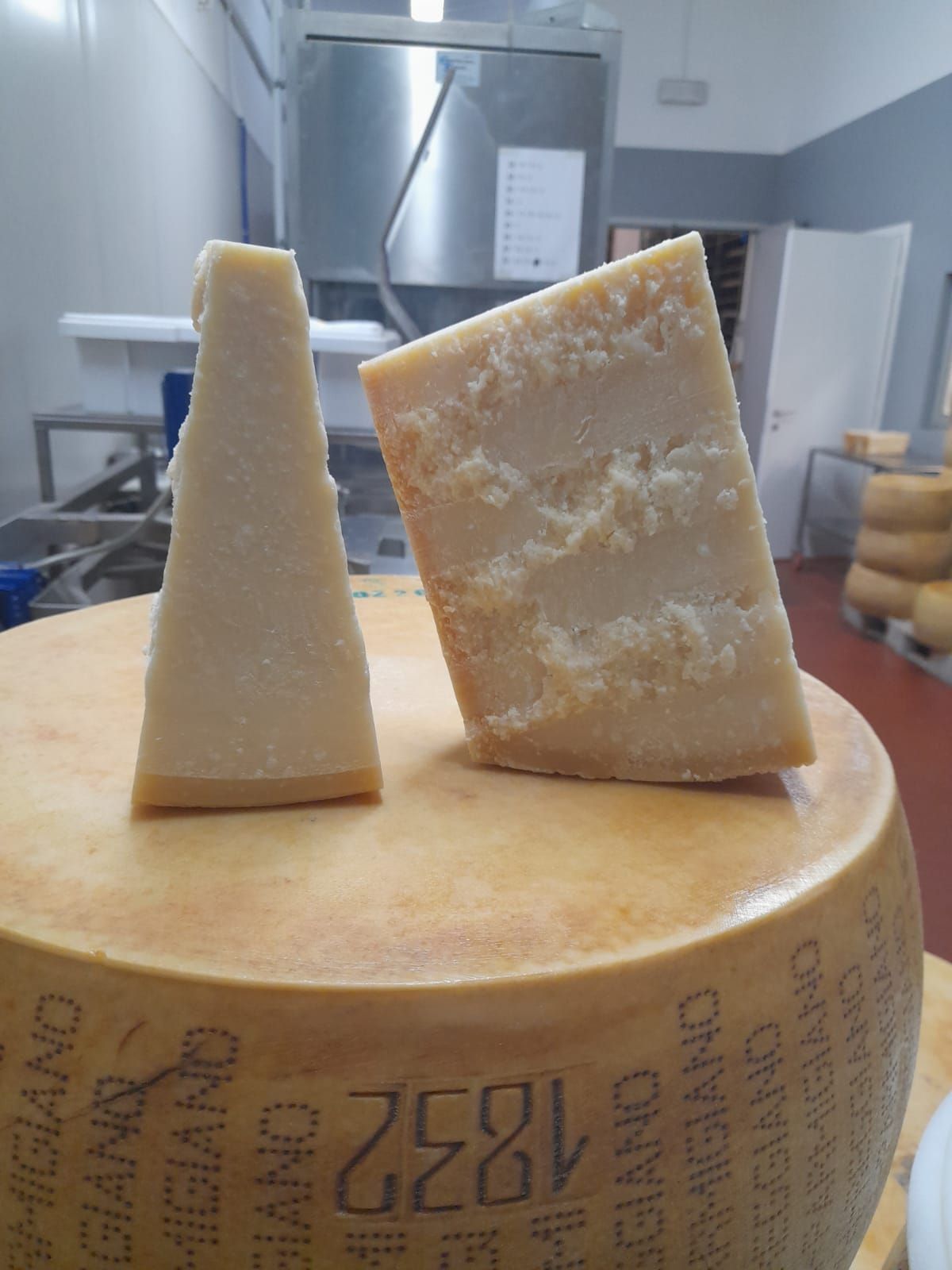 Parmigiano Reggiano 24 mo 500 gr