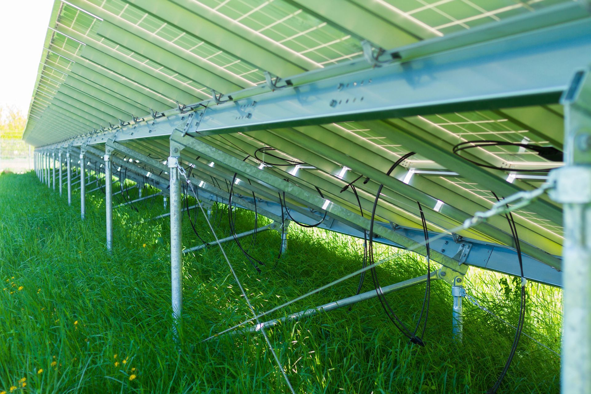Solar Battery System in Los Angeles, CA