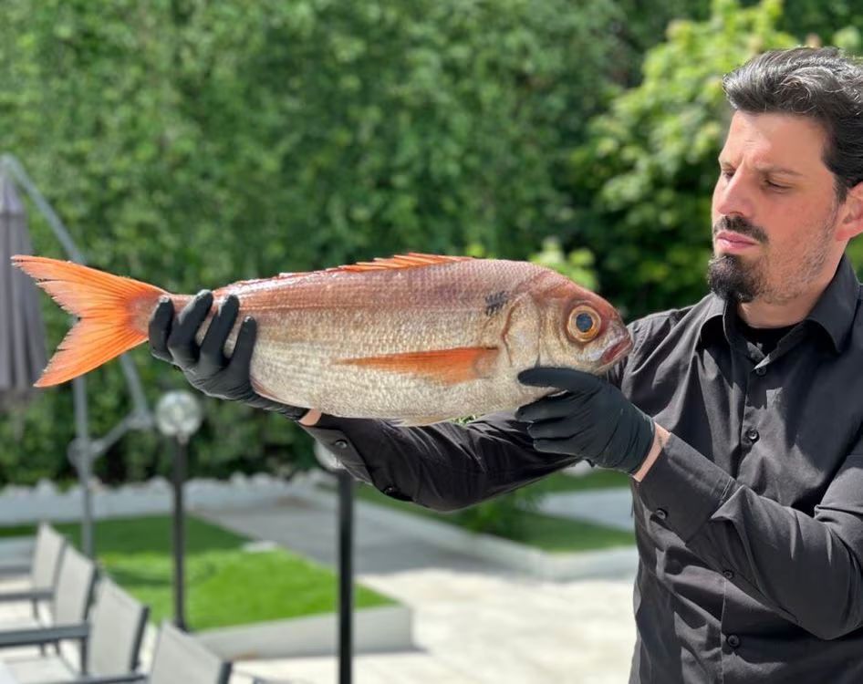 Un uomo tiene in mano un grosso pesce argentato con pinne arancioni all'aperto, in pieno giorno.