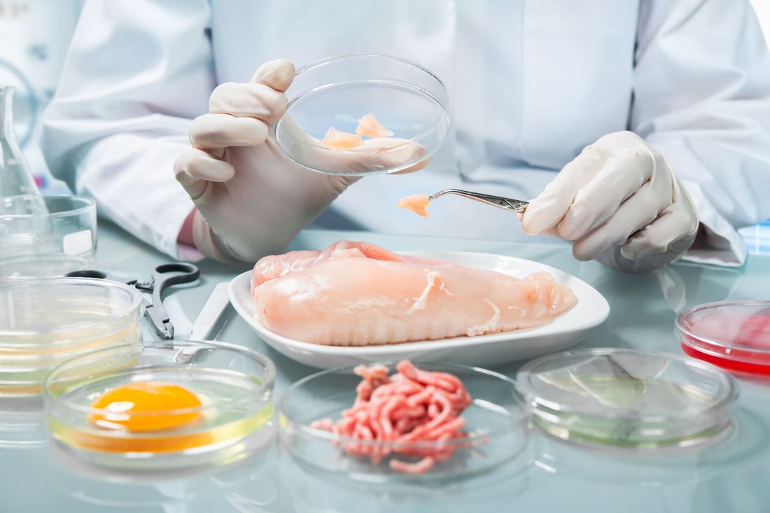 Analisi microbiologiche sugli alimenti e tamponi superficiali