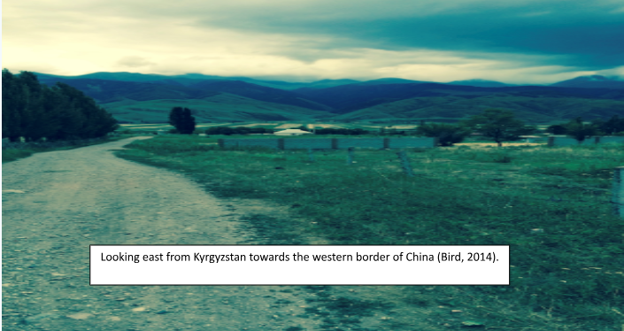 A dirt road going through a grassy field with mountains in the background