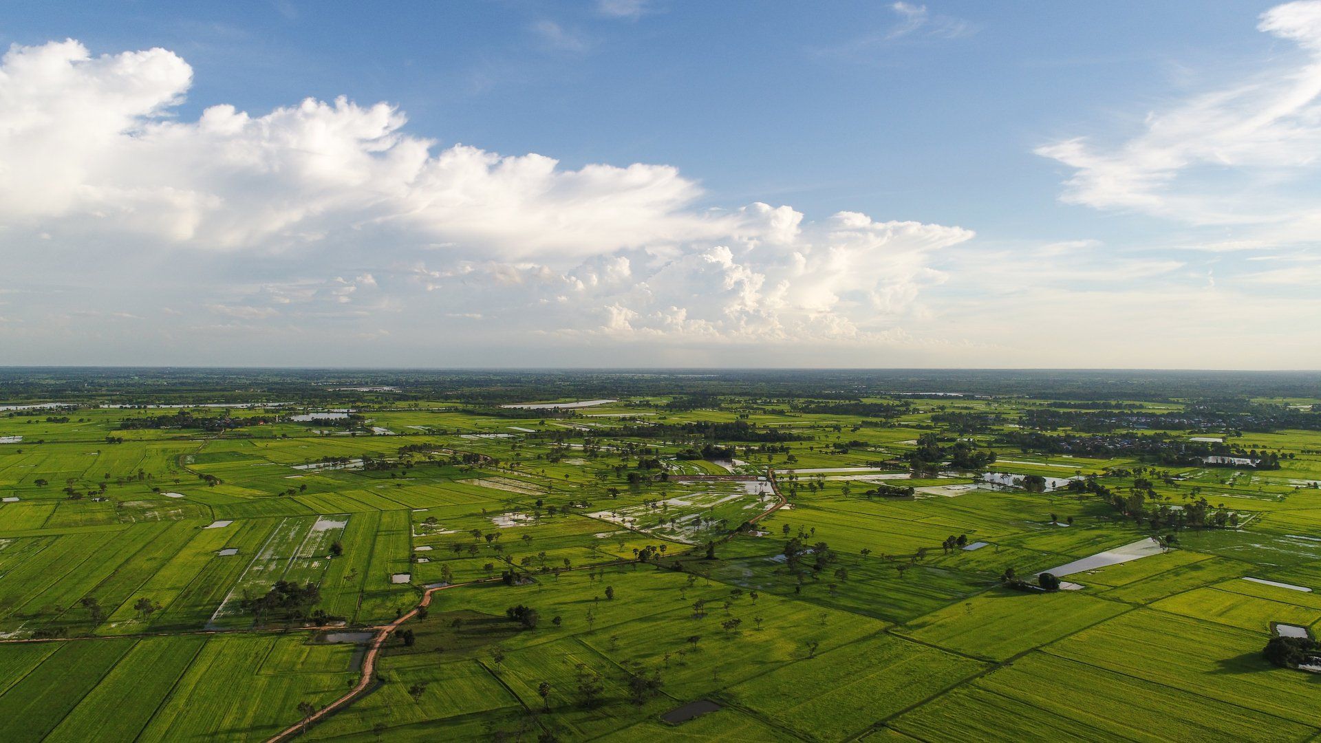 An aerial view of a lush green field with a blue sky in the background.