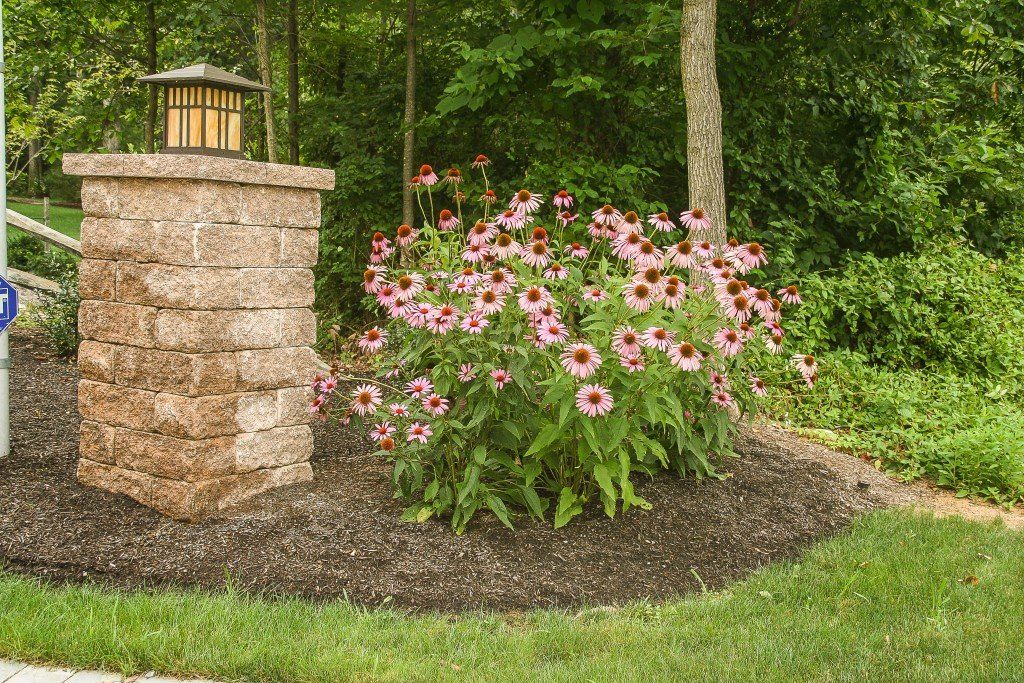 Flowers — landscape plantings in Newville, PA