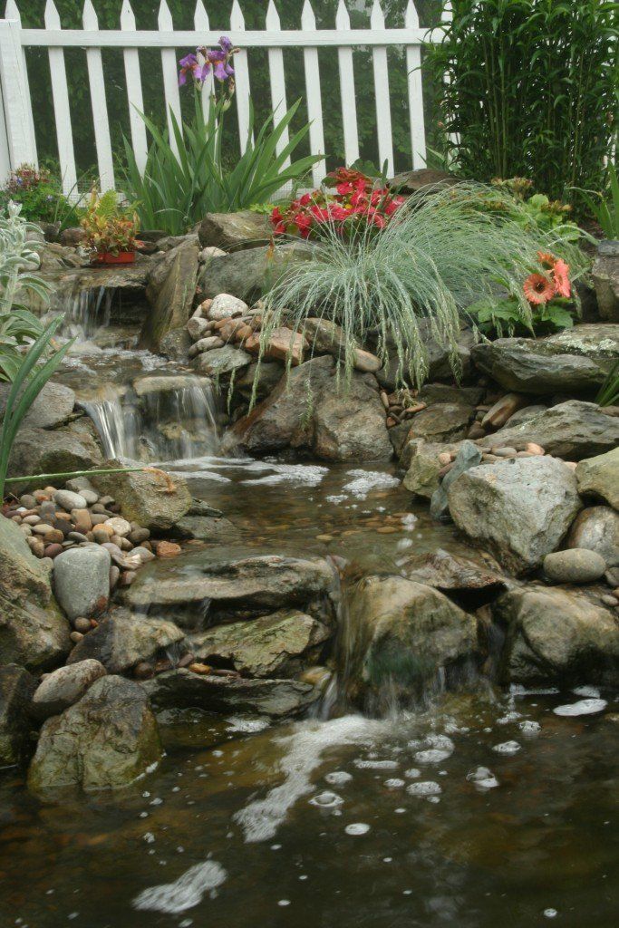 Custom pond with rock and plants — custom water feature in Newville, PA