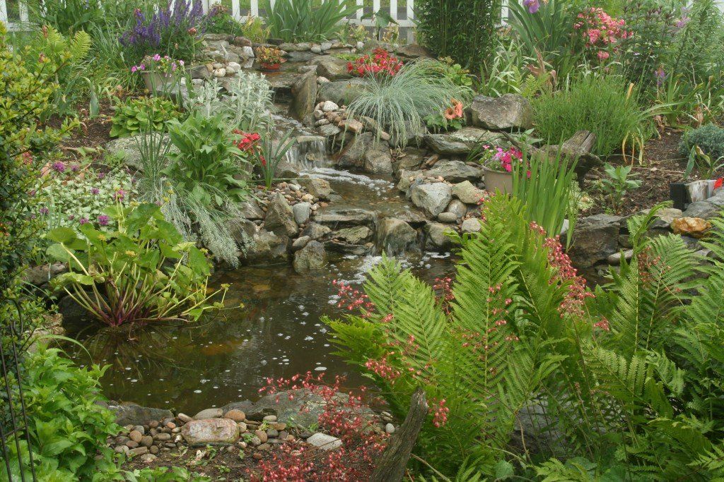 Pond with full of different plants — custom water feature in Newville, PA