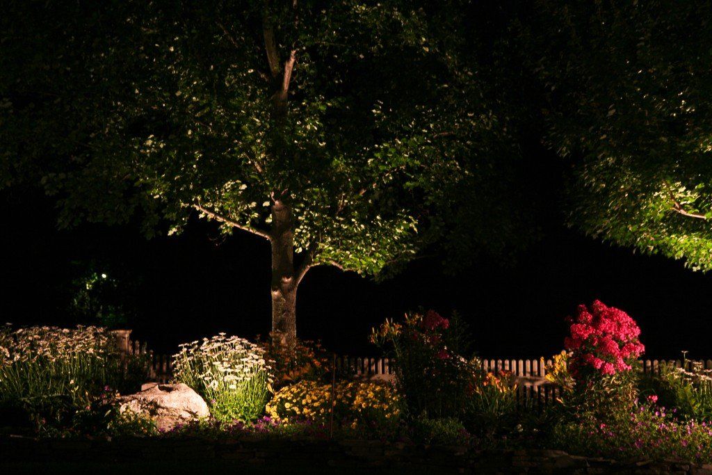 Plant lights — outdoor lighting design and installation in Newville, PA